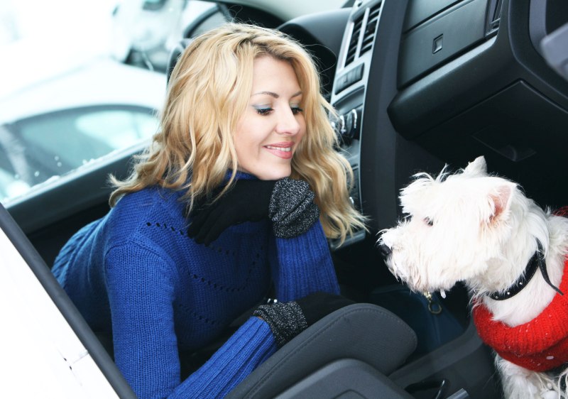 Frau im Auto mit Hund