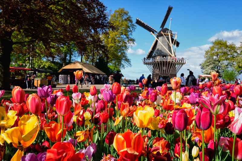 Keukenhof Garten