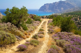 Kreta offroad