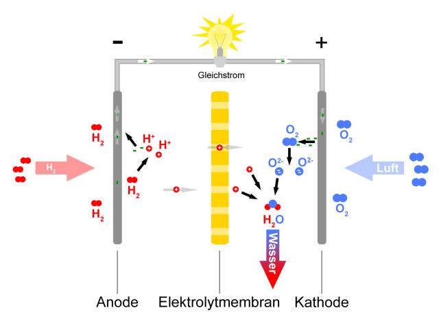 Brennstoffzelle Funktion