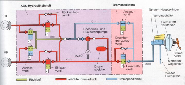 BAS Schema