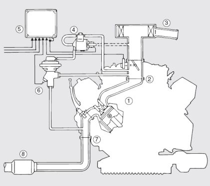 AGR Schema