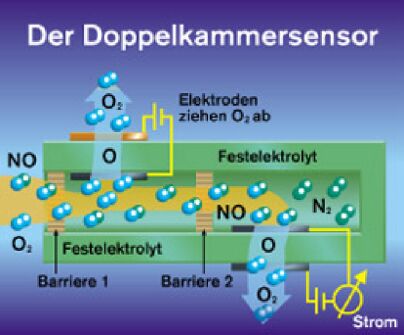 Doppelkammersensor