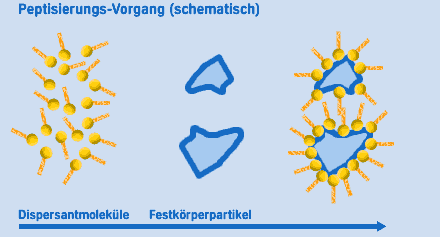 Detergents Peptisierung