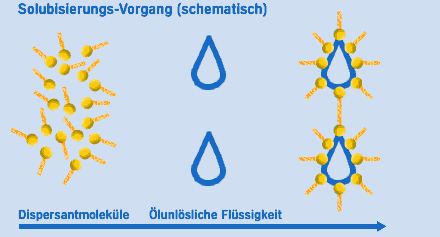 Detergents Solubilisierung