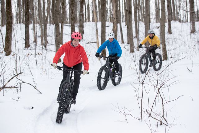 E-Fatbike Winter